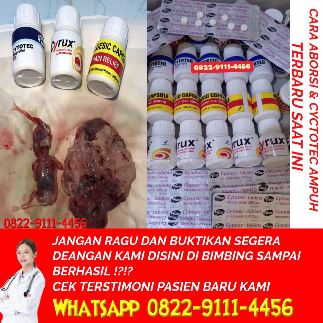 Cara Menggugurkan Kandungan secara Alami Dan Obat Aborsi Cytotec 400 mg Ampuh